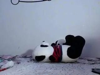 edwardtrans17 on CamSoda