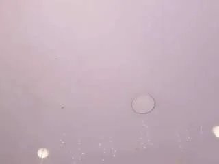 estef-love on CamSoda