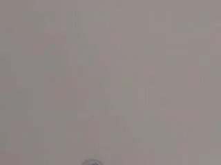 madelanecoote — FOX PLUG IN MY ASSPVT discount, ask for itControl my Lush and make me cum [310 tokens remaining]