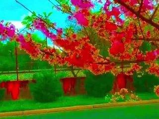 zeroslash on CamSoda