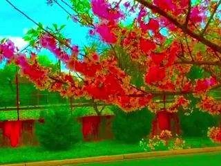 zeroslash on CamSoda