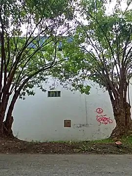 Alyshanon18 on StripChat