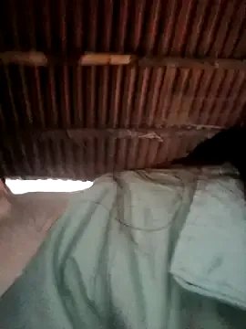 Bear_bear0 on StripChat