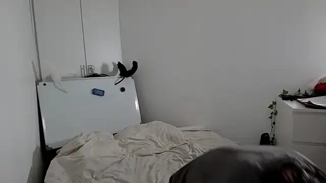 CeriseLapine on StripChat