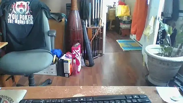 Daremeknot on StripChat