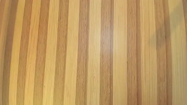 Taylor__cooper — anal whit dildo and squirt